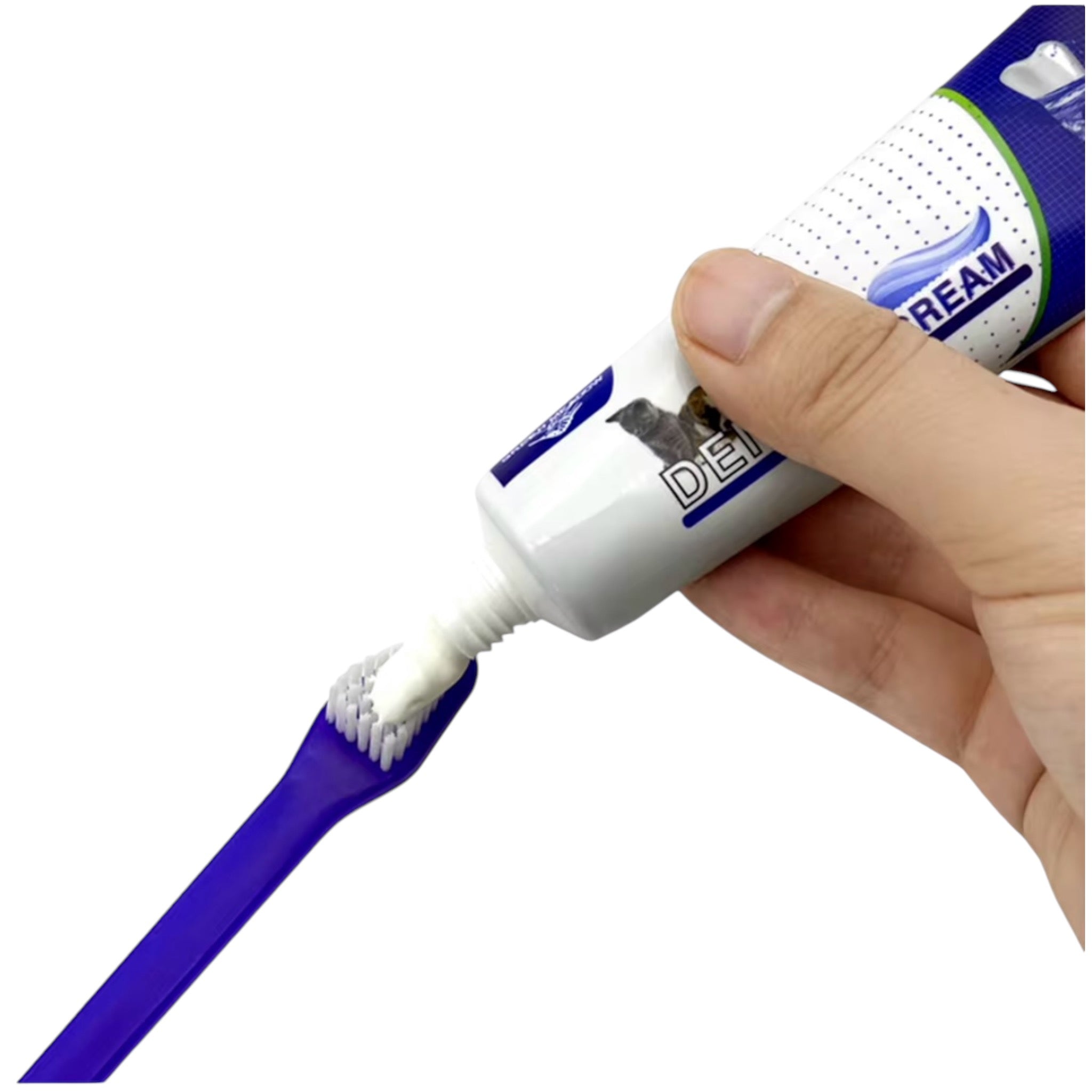 KIT CONTROL SARRO PASTA DENTAL Y 3 CEPILLOS