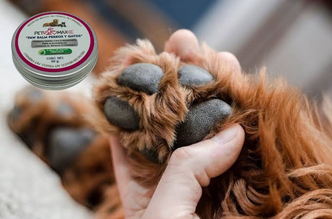 PAW BALM (UNGÜENTO PARA PATAS) PERROS Y GATOS