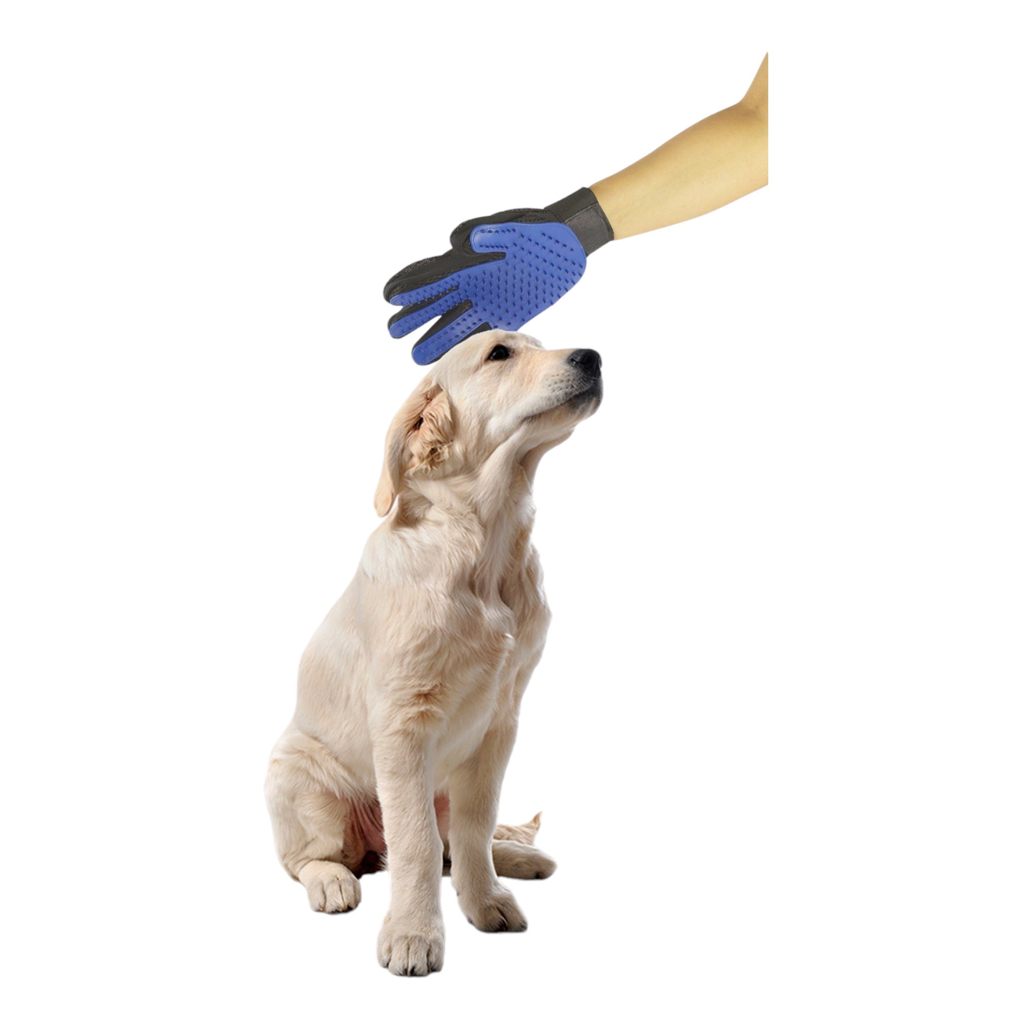 GUANTE PARA CEPILLAR A TU MASCOTA