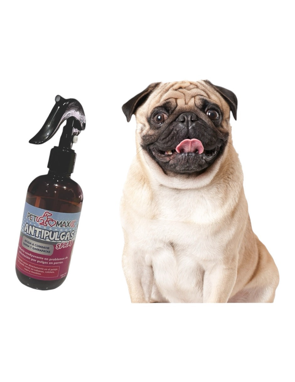 MÁXIMA PROTECCIÓN PARA TU MASCOTA HIGIENE Y SALUD