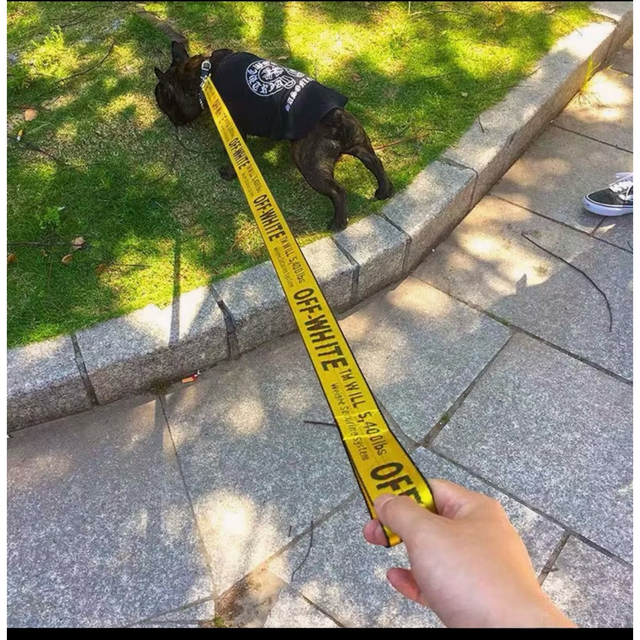 CORREA Y COLLAR PARA PERRO OFF WHITE